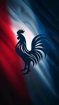 French flag with a stylized black rooster symbol representing national pride and heritage.