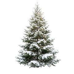 Fototapeta premium Snow covered christmas tree with lights isolated on transparent background