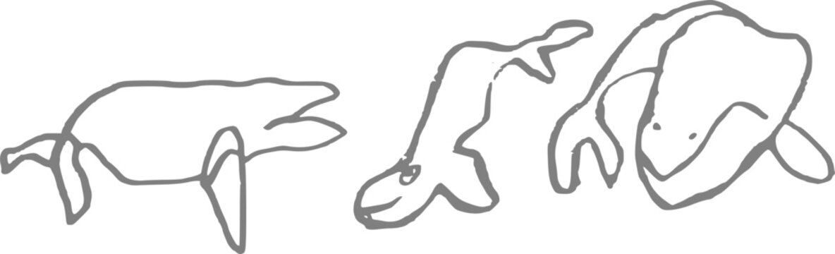 Kids doodle set of cute whales and marine animals, simple hand drawn line art vector illustration