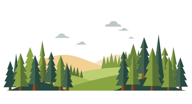 Evergreen Trees Forest Landscape Nature.