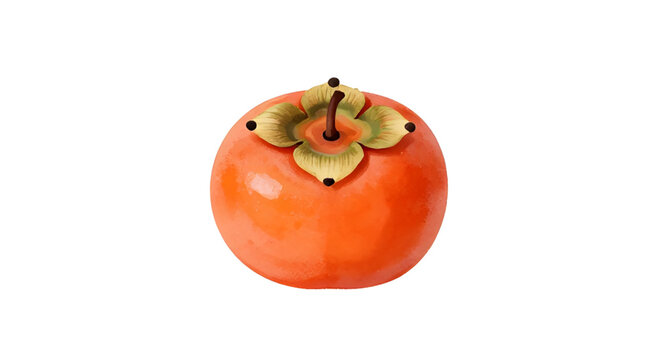 persimmon, kaki, fruit, diospyros, tropical, orange, fresh, sweet, juicy, food, organic, healthy, natural, produce, isolated, white, simple