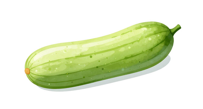 luffa gourd illustration, loofah vegetable design, sponge gourd fresh, green organic vegetable, healthy cooking ingredient, natural farm produce, white background luffa, edible gourd vegetable, garden