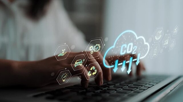 Carbon footprint reduction is vital for sustainability. Carbon footprint strategies include renewable energy, recycling, and carbon footprint management. Marrow