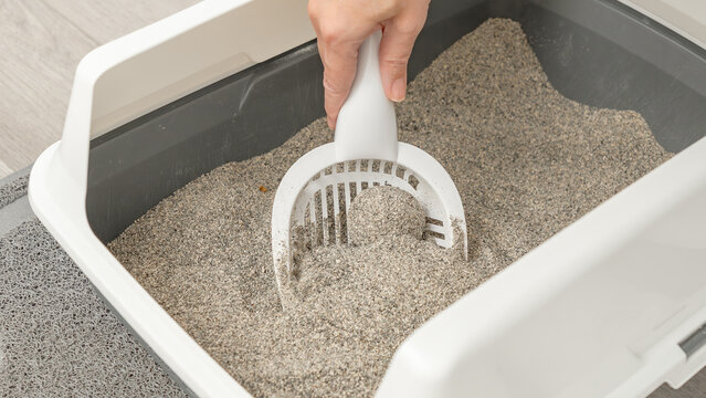 Hand using a scoop to clean an odor-free litter box filled with fine sand, positioned on a textured floor in a well-lit indoor space