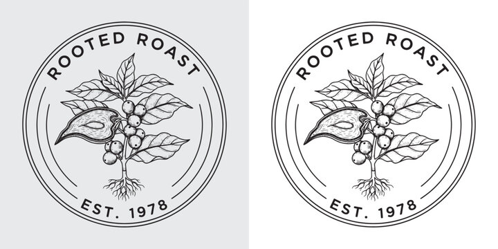 Rooted Roast Coffee Branch Logo with Beans and Exposed Roots Illustration