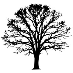 Obraz premium Bare Tree Silhouette in Black and White