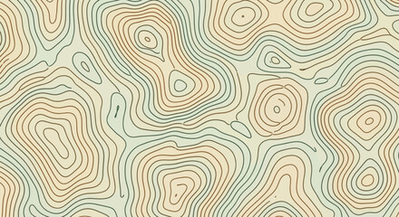 Obraz premium Abstract Topographic Map Contour Lines Pattern in Earthy Tones