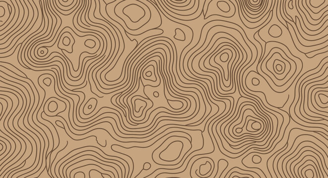 Abstract Topographic Map Contour Lines Pattern in Earthy Brown Tones