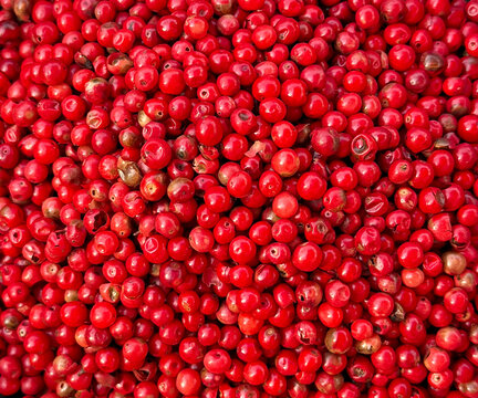 Pink Peppercorns full frame close-up