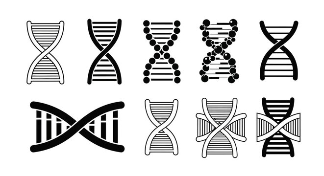 DNA double helix structures in various artistic styles for science and genetics concepts