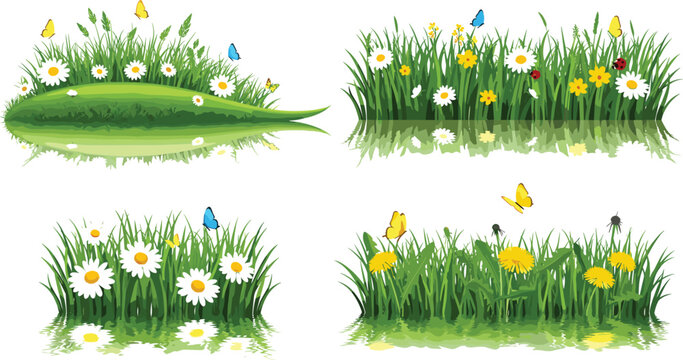 Spring meadow grass vector set featuring floral patches with daisies, butterflies and water reflections in bright natural design