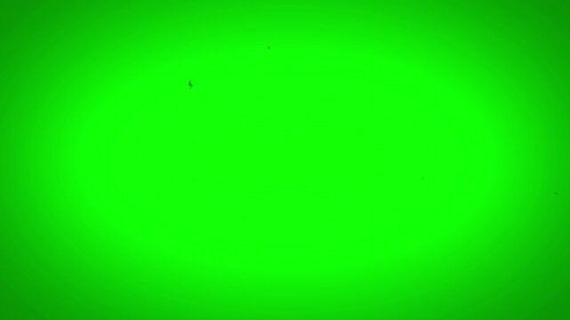 green screen looping animated