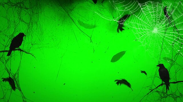 abstract grunge background with birds