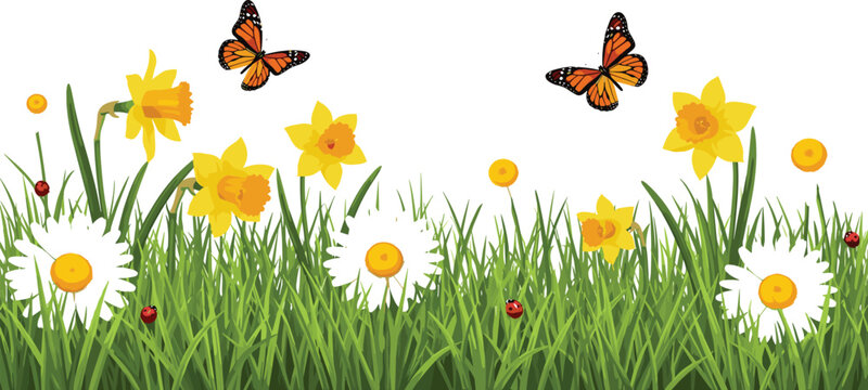 Spring meadow border vector illustration featuring daffodils, daisies, butterflies and ladybugs in bright natural design style
