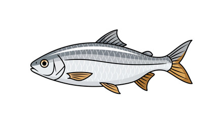 Fototapeta premium Illustration of a silver fish with striped body and orange fins on white background