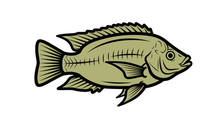 Fototapeta premium Illustration of a Tilapia fish, aquatic animal, isolated on white background