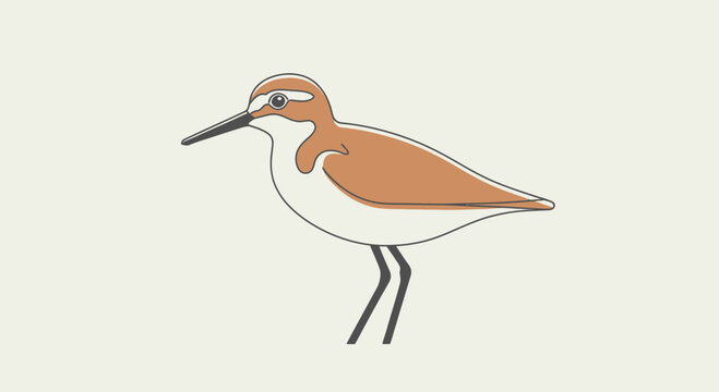 Minimalist Illustration of a Sandpiper Bird