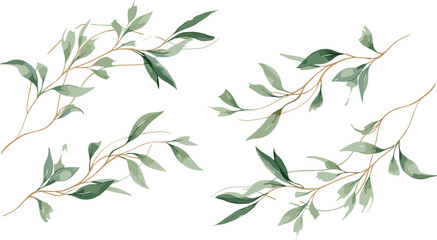 Watercolor eucalyptus branches vector set featuring soft green leaves in elegant botanical illustration style © mdanichur