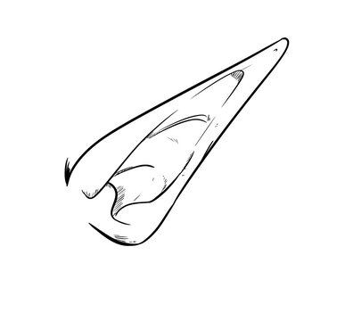 elf ear digital drawing illustration isolated