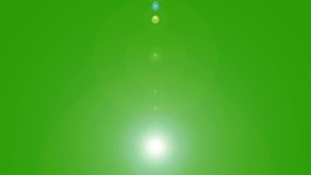 Green light on the nature backdrop: A bright green background, a vibrant and dynamic visual element, ready to add a burst of freshness and versatility to any project.