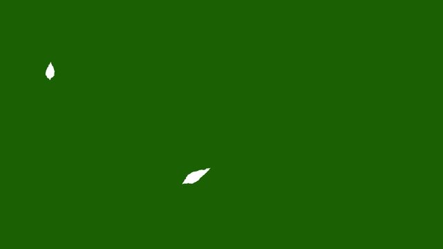 Abstract Leaf Shapes on Emerald Canvas: Delicate white leaf shapes delicately scattered against a rich, emerald-green background, creating a minimalist yet captivating composition.