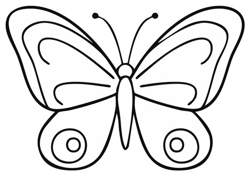 Detailed Butterfly Line Art Illustration Design for Creative Coloring Books