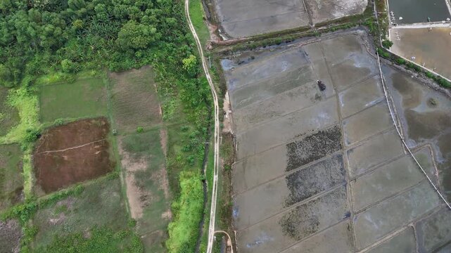 Aerial view contrast between lush green fields and traditional salt pans separated by a narrow dirt path