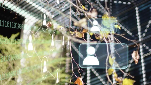 Binary rising, nodes aligning while user cards stacking over slatted facade showing network