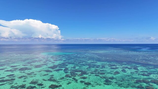 南国の空撮映像