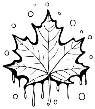 Black and white illustration of maple leaf with dripping effect and floating circles
