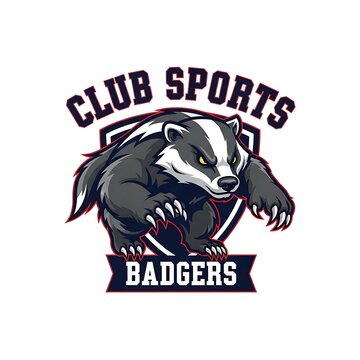 Fierce badger mascot illustration with Club Sports Badgers text on a shield design