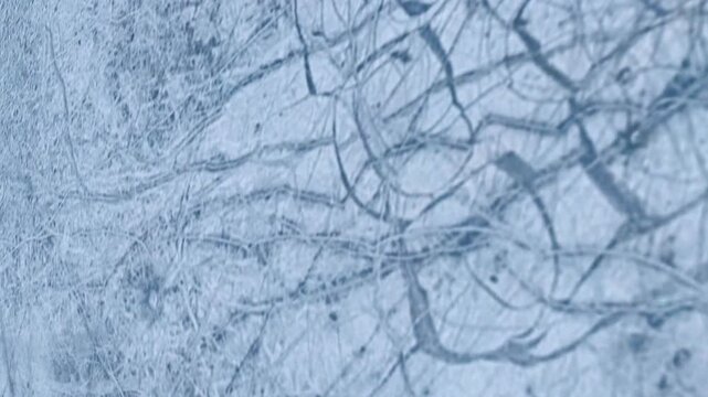Abstract textured background Moon Craters Close Space Scene Lunar The Moon reveal the lunar south pole. Clementine spacecraft