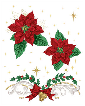 Christmas Red poinsettia