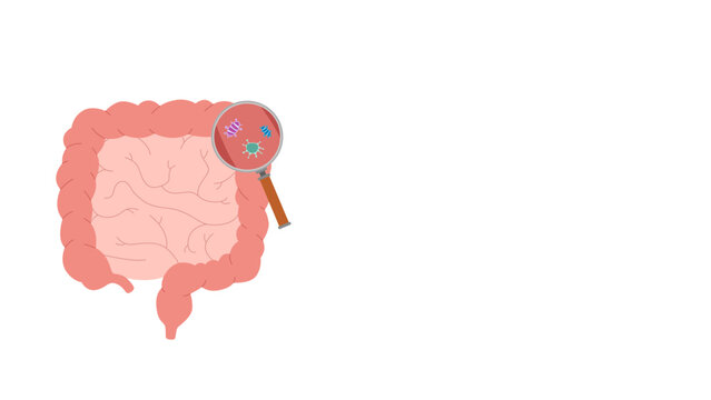 bacteria in intestines with magnifying glass for health education