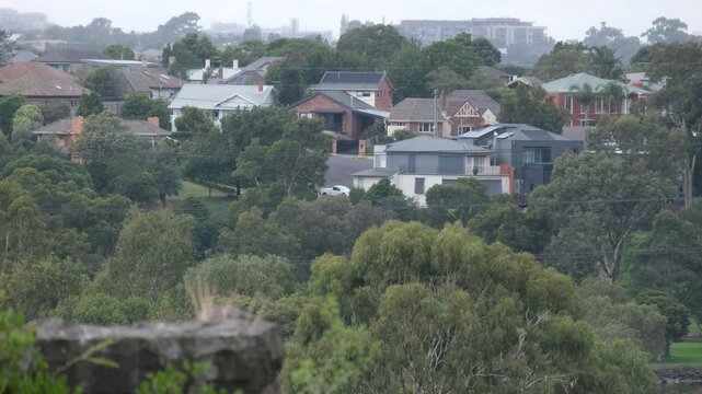 Dense tree canopy and rooftops of houses in Ascot Vale, an established inner suburb of Melbourne Australia.&nbsp;Leafy, character-rich atmosphere of a suburban neighbourhood.