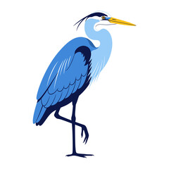Obraz premium Blue Heron Bird Vector Illustration Wildlife Nature Water Bird Animal