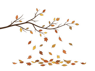 Naklejka premium Autumn branch with colorful falling leaves isolated on white background.