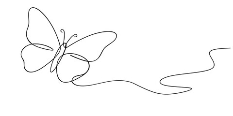Butterfly Line Art, Minimalist continuous-line drawing of a butterfly with wings spread open, symbolizing beauty, transformation, and nature. © Sa_e