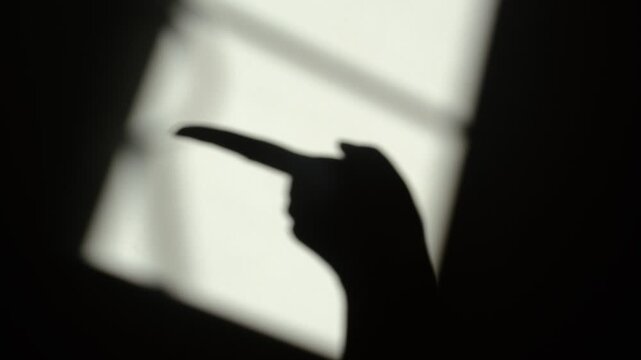 Shadow of hand on screen. Come here and after that  someone shaking finger disapproving, negation finger gesture, pointing in disapproval, accusation, upset. Sign language