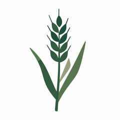 Fototapeta premium Organic food certification stamp icon: A clean vector symbol representing USDA organic quality, farming, natural ingredients, and sustainable agriculture.