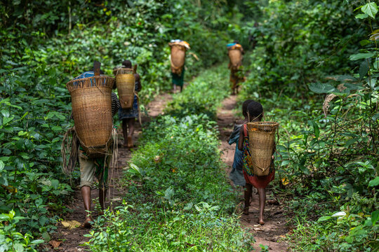 Ba Aka pygmy tribe walking through the rainforest around Dzanga Sangha in the Central African Republic