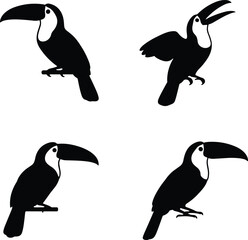 Naklejka premium Toucan Tropical Bird Silhouette Icon Set, Vector, Line Art, Illustration