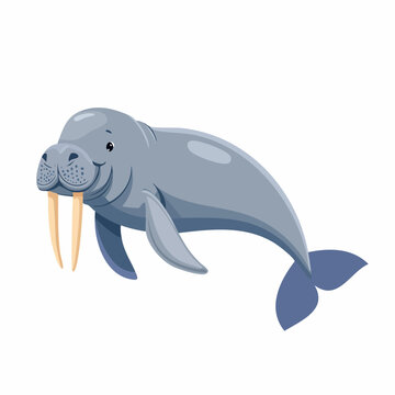 Cartoon walrus with large tusks swimming.