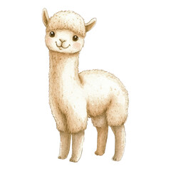 Cute white alpaca standing alone. © Rochilah
