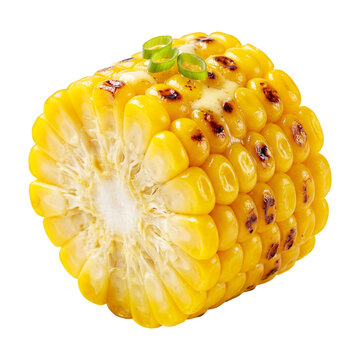 Grilled Corn on the Cob with Butter and Herbs Isolated on Transparent Background