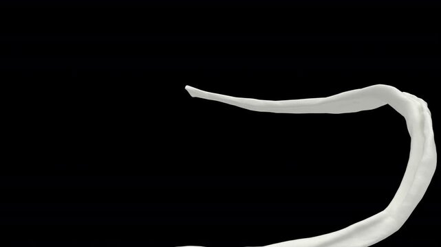Three Types of Milk Flow with Alpha Channel