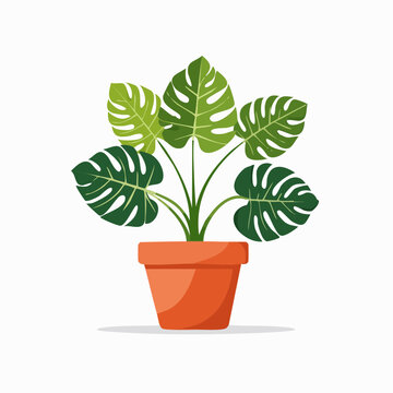 Monstera plant in a terracotta pot, a vibrant illustration of a tropical houseplant with large, split leaves, perfect for home decor and botanical themes