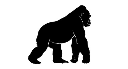 Obraz premium Large Black Gorilla Silhouette Walking Sideways.