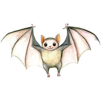 Cute cartoon flying mammal bat creature.