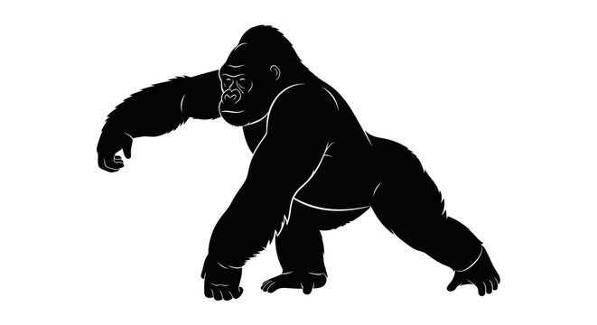 Large Gorilla Standing on Two Legs.